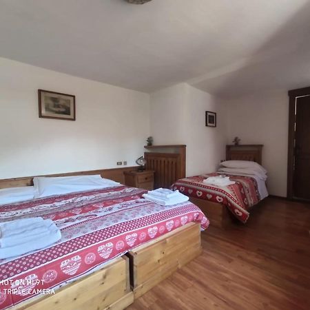 La Favorita Bed & Breakfast Lozzo Cadore Exterior photo